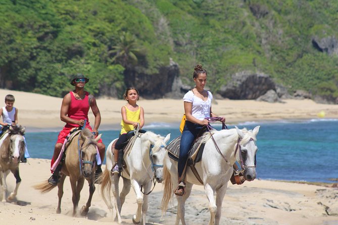 Horseback Riding through Secluded Beaches and Tropical Forests - Horses and Guides: Why Beginners Can Feel Comfortable