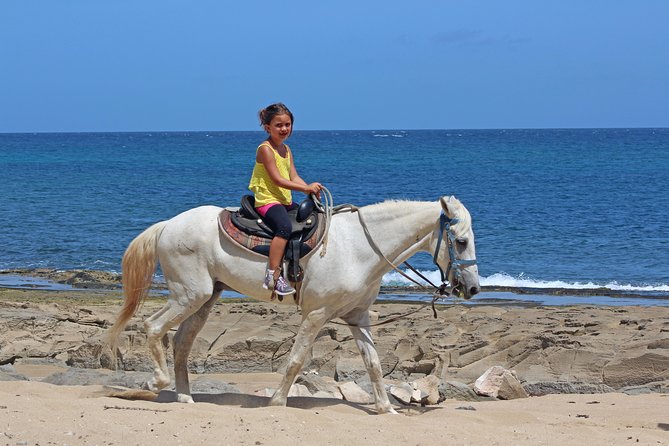 Horseback Riding through Secluded Beaches and Tropical Forests - Price and Value at $106.95 for a 2-Hour Ride