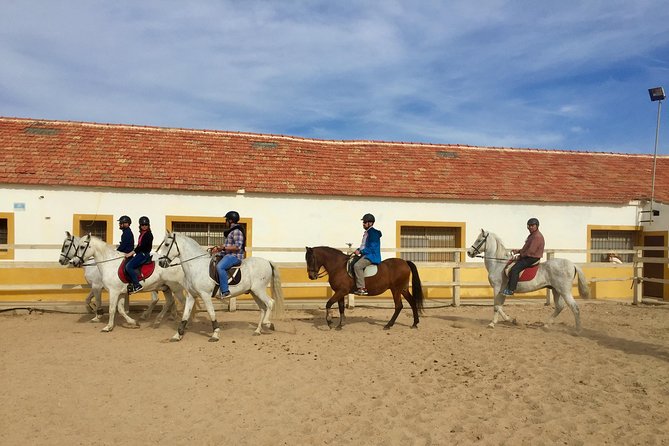 Horseback riding through the Calblanque Natural Park - Calblanque Natural Park from the saddle: why this ride feels special