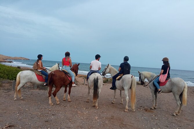 Horseback riding through the Calblanque Natural Park - Getting started at Grand Hyatt La Manga Club Golf & Spa