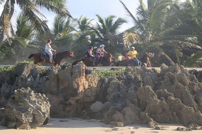 Horseback Riding to Maimon River from Punta Cana - Punta Cana’s Countryside, From Horseback