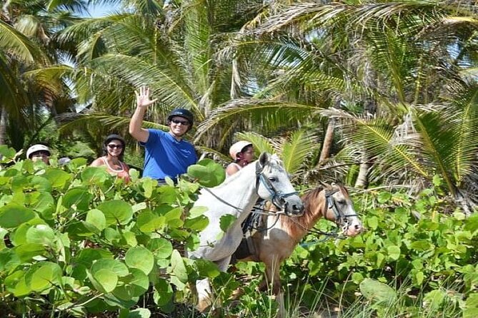 Horseback Riding to Maimon River from Punta Cana - Timing: Morning vs. Afternoon (Why It Matters)