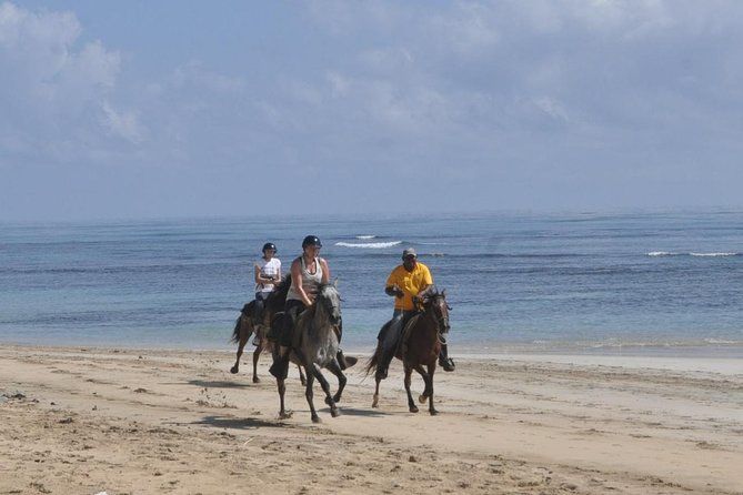 Horseback Riding Tour Adventure on the Beach - Riding Along Uvero Alto Beach: The Part You’ll Remember