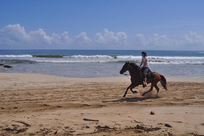 Horseback Riding Tour Adventure on the Beach - Who Should Book This Punta Cana Horseback Ride (and Who Should Skip It)
