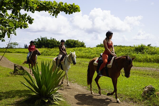 Horseback Riding Tour at Private Ranch - Key things to know before you go