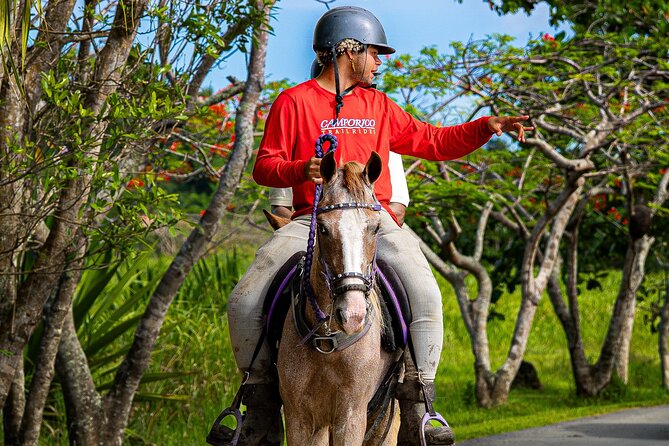 Horseback Riding Tour at Private Ranch - A private-ranch feeling just outside San Juan
