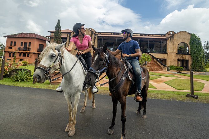 Horseback Riding Tour at Private Ranch - After the ride: Mojito Bar drinks with the view