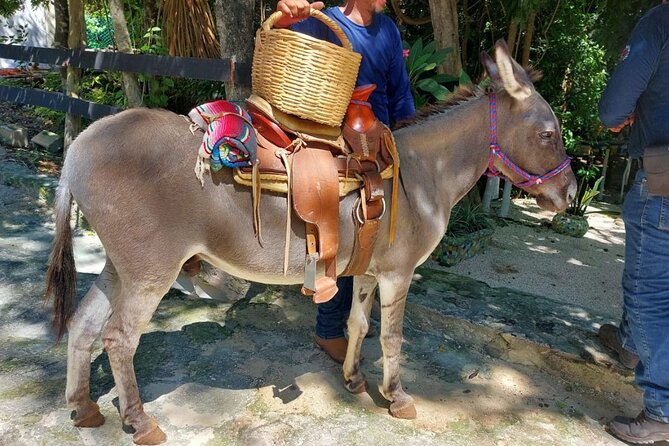 Horseback Riding Tour at Rancho Bonanza and Cenote Swim - Who Should Book This Tour (and Who Might Skip It)
