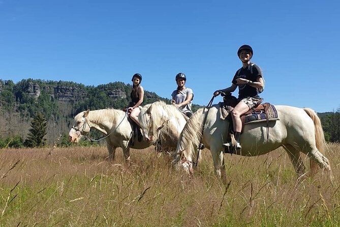 Horseback Riding Tour in Bohemian Switzerland - Price and value: what $300.38 is covering in real terms