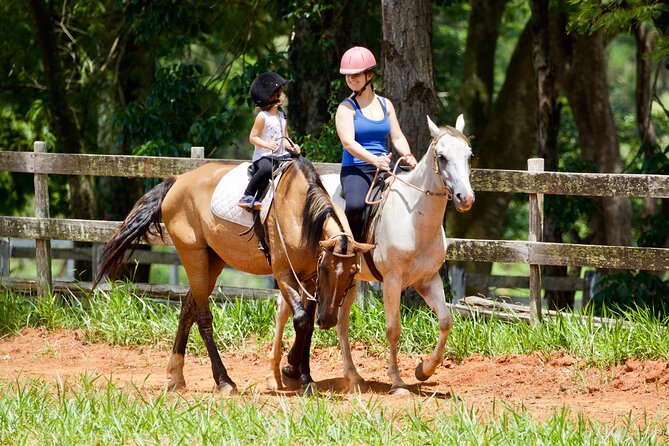Horseback Riding Tour in Bohemian Switzerland - Weather, timing, and who this tour suits best