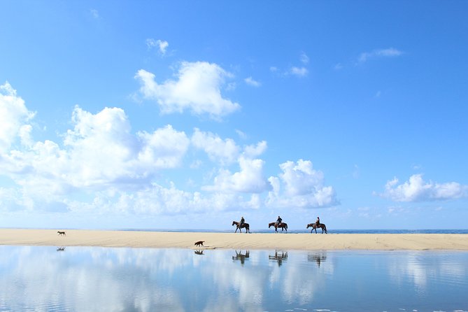 Horseback Riding Tour in Cabo San Lucas - Horse selection, helmet availability, and setup before you mount