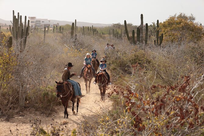 Horseback Riding Tour in Cabo San Lucas - Desert trail, 20-foot cacti photo stops, and Pacific canter moments