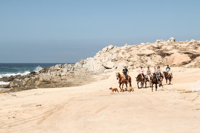 Horseback Riding Tour in Cabo San Lucas - Sea turtle conservation: why this ranch moment matters