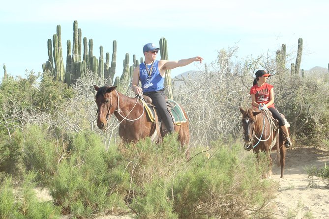 Horseback Riding Tour in Cabo San Lucas - Time on the horse vs total trip time: plan for a longer day