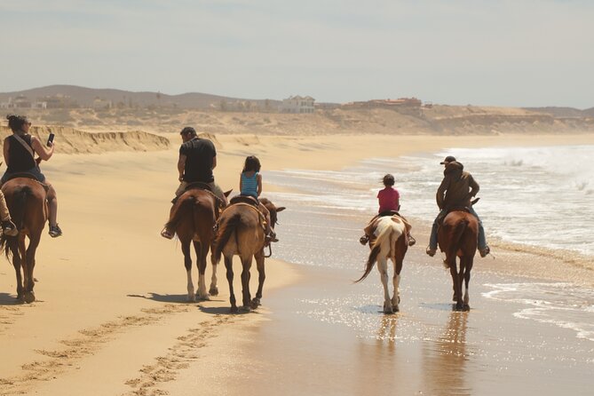Horseback Riding Tour in Cabo San Lucas - Price and value: when $65.86 makes sense