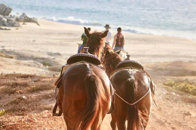 Horseback Riding Tour in Cabo San Lucas - Hotel pickup, minivan ride, and arrival at Rancho Carisuva