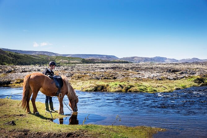 Horseback Riding Tour in Iceland - Quick Highlights From This Iceland Horse Ride