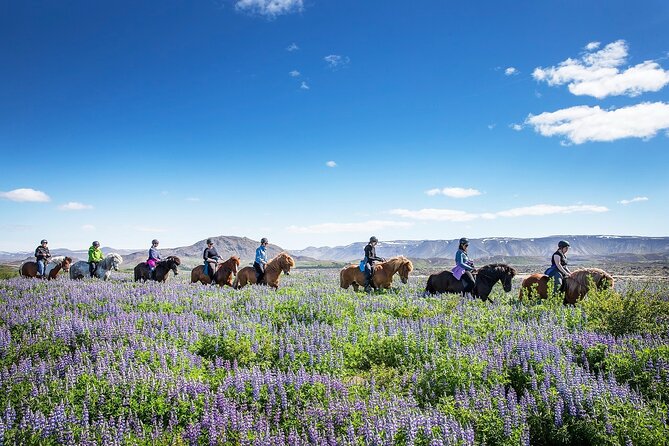 Horseback Riding Tour in Iceland - Your Icelandic Horse Experience: More Than Just a Pretty Animal