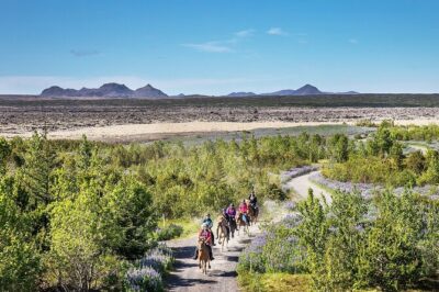 Horseback Riding Tour in Iceland - Meeting at Sörlaskeið 26: The Setup That Saves Your Time