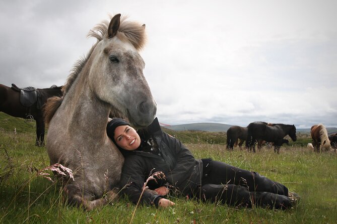 Horseback Riding Tour in Iceland - Time on the Ground vs. Time in the Saddle