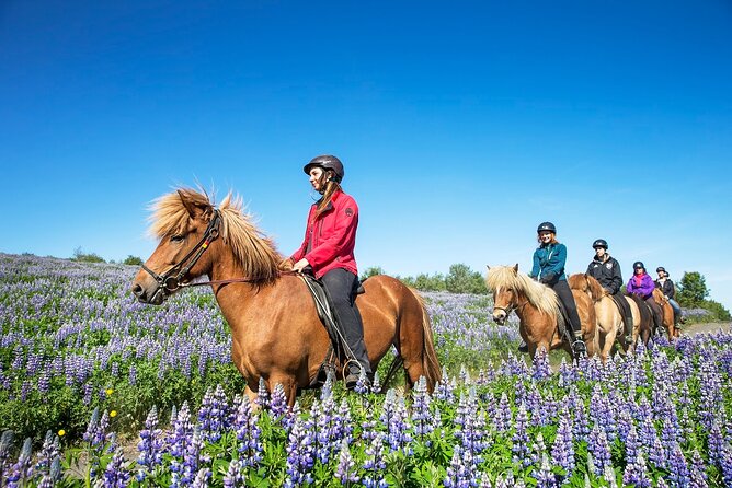 Horseback Riding Tour in Iceland - Price and Value: Is $135.16 Worth It?