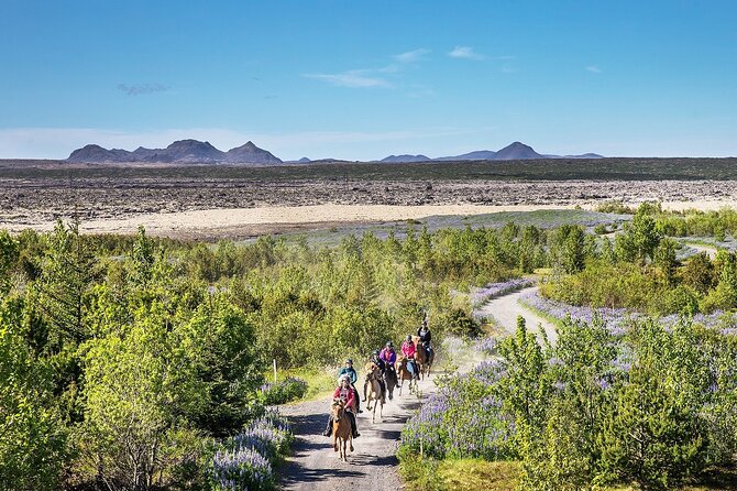 Horseback Riding Tour in Iceland - Meeting at Sörlaskeið 26: The Setup That Saves Your Time