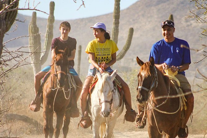 Horseback Riding Tour in Los Cabos - Quick hits you’ll care about