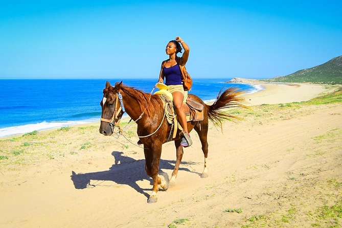 Horseback Riding Tour in Los Cabos - Desert trails and Baja cacti: More than just a warm-up