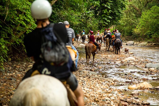 Horseback Riding Tour in Sierra Madre from Puerto Vallarta - Should You Book Rancho Capomo Horseback Riding From Puerto Vallarta?