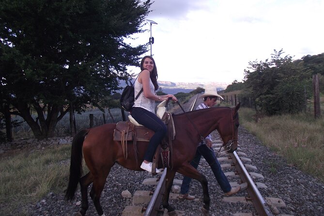 Horseback Riding Tour in The Agave Field with Lunch - Horseback Riding in Agave Country, Without the Big-Tour Chaos