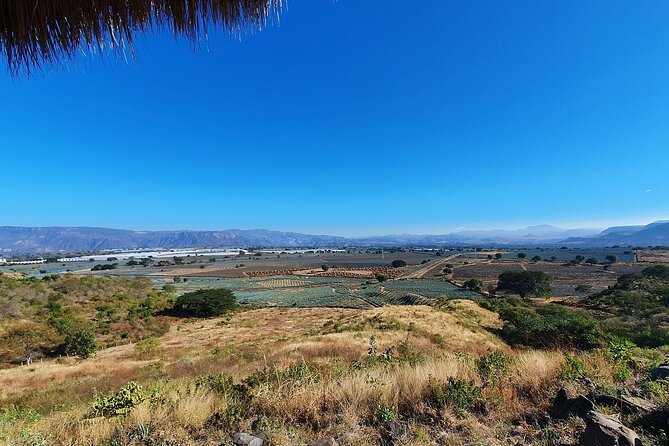 Horseback Riding Tour in The Agave Field with Lunch - Stop 3 at La Taberna del Cofrade: Underground Lunch That Actually Feels Like a Break