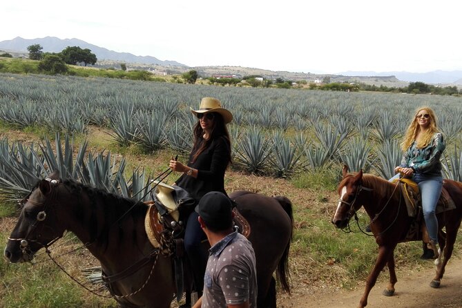 Horseback Riding Tour in The Agave Field with Lunch - Who Should Book This Agave Horseback + Lunch Tour
