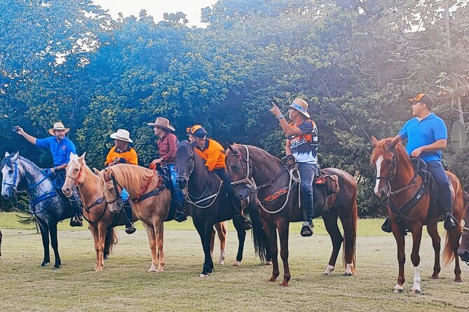 Horseback Riding tour near Santo Domingo with pick up and dropoff - Key things to know before you ride