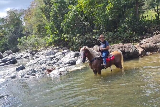 Horseback Riding tour near Santo Domingo with pick up and dropoff - Where this ride fits on your Santo Domingo plan