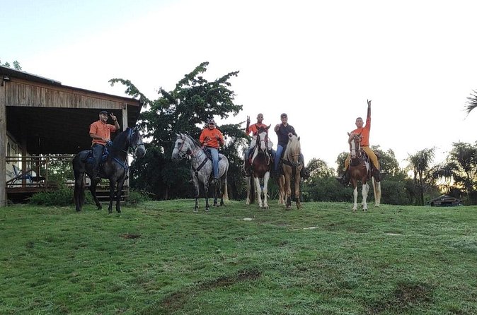 Horseback Riding tour near Santo Domingo with pick up and dropoff - The guided horseback portion: 1 hour 30 minutes of real riding