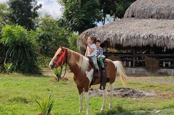 Horseback Riding tour near Santo Domingo with pick up and dropoff - The included extras that make it feel worth $95