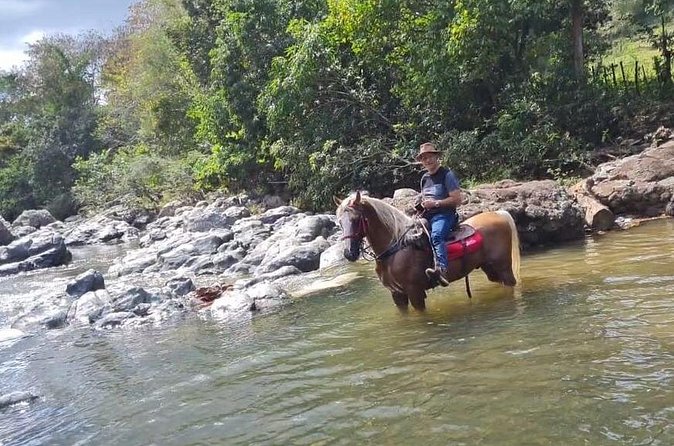 Horseback Riding tour near Santo Domingo with pick up and dropoff - Safety and fit: how to judge if this ride matches you