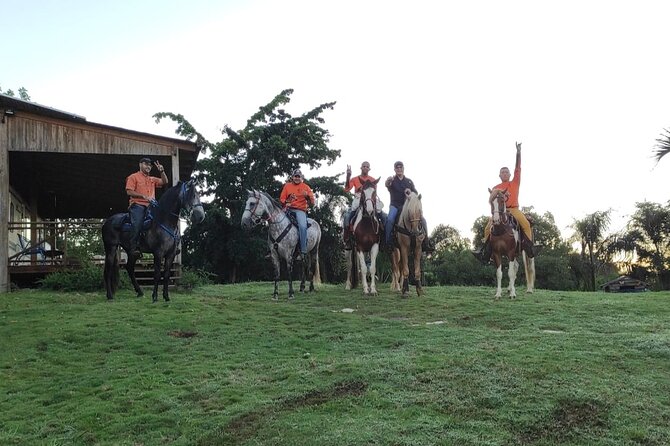 Horseback Riding tour near Santo Domingo with pick up and dropoff - The weather risk: the one drawback you should plan around