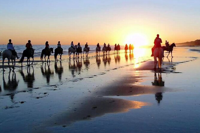 Horseback riding tour of Doñana and visit of El Rocio - Why Doñana Horseback + El Rocío Fits in a Half-Day