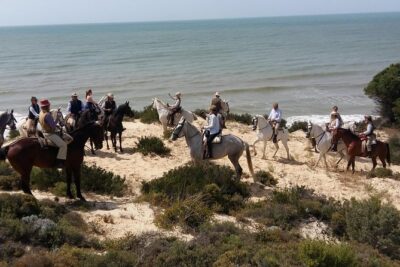 Horseback riding tour of Doñana and visit of El Rocio - Morning Ride: Parque Nacional de Doñana on a Beginner-Ready Day