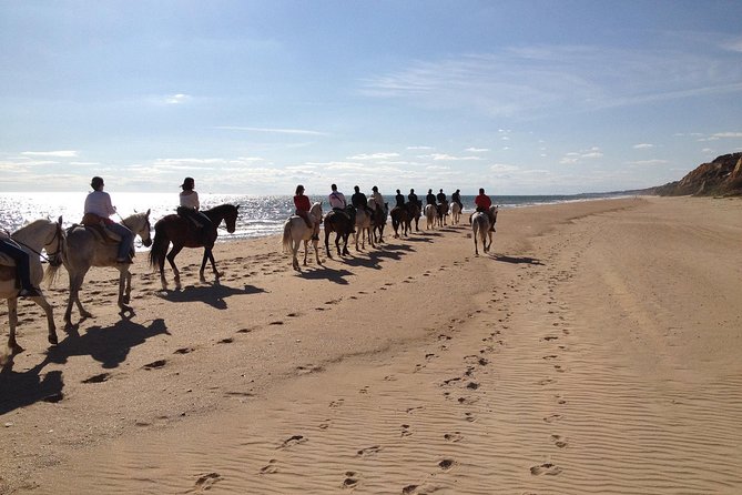 Horseback riding tour of Doñana and visit of El Rocio - What to Pack for a Short Doñana + El Rocío Day