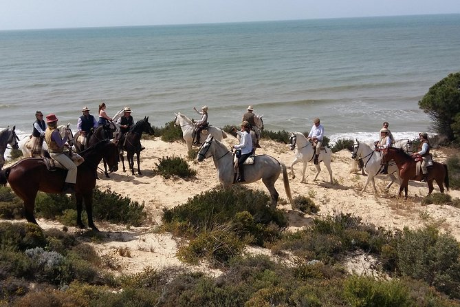 Horseback riding tour of Doñana and visit of El Rocio - Morning Ride: Parque Nacional de Doñana on a Beginner-Ready Day
