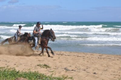 Horseback Riding Tour on the Beaches of Punta Cana - Key highlights you’ll actually care about