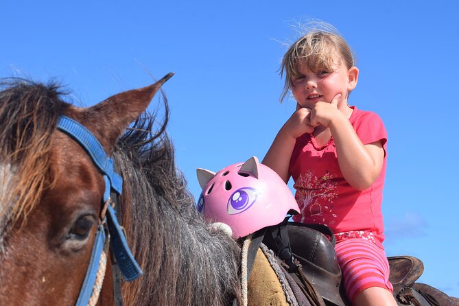 Horseback Riding Tour on the Beaches of Punta Cana - The ranch start: meeting horses and farm animals up close