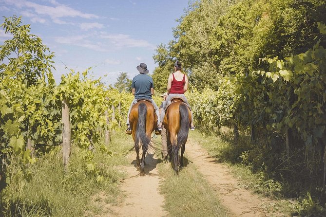 Horseback Riding Tour with Tuscan Picnic in Val d'Orcia and Valdichiana - Horseback + Picnic: The Montepulciano Half-Day That Feels Like Real Tuscany