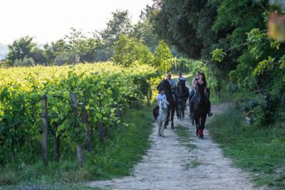 Horseback Riding Tour with Tuscan Picnic in Val d'Orcia and Valdichiana - The Picnic Part: Seasonal Tuscan Bites After the Saddle