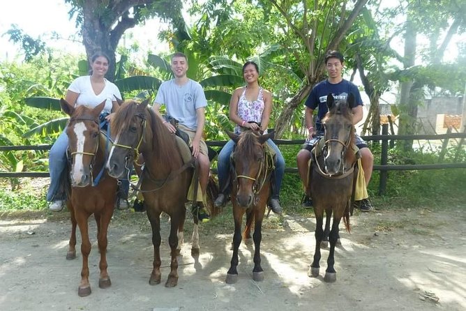 Horseback riding tours from amber cove & Taino bay port silver - Puerto Plata port pickup to the start of your ride