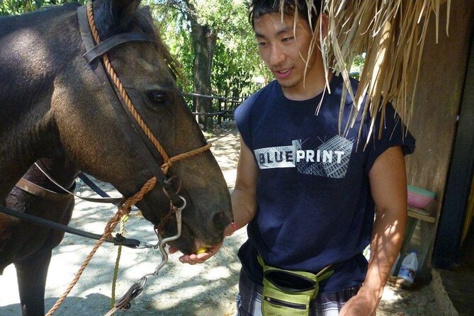 Horseback riding tours from amber cove & Taino bay port silver - Photo stops and beach time: how to get the memories without the rush