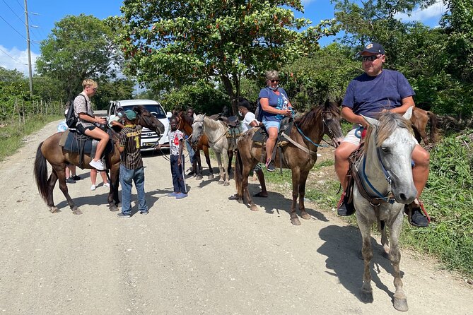 Horseback riding tours from amber cove & Taino bay port silver - Who this tour suits best (and who should think twice)