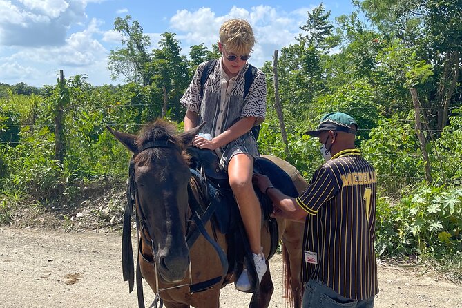 Horseback riding tours from amber cove & Taino bay port silver - Should you book this beach horseback tour from Puerto Plata?